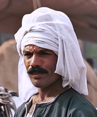 Birqash Camel Market