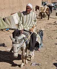 Morocco People and Life