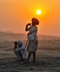Pushkar Cattle Fair