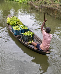 Floating Markets Bangladesh