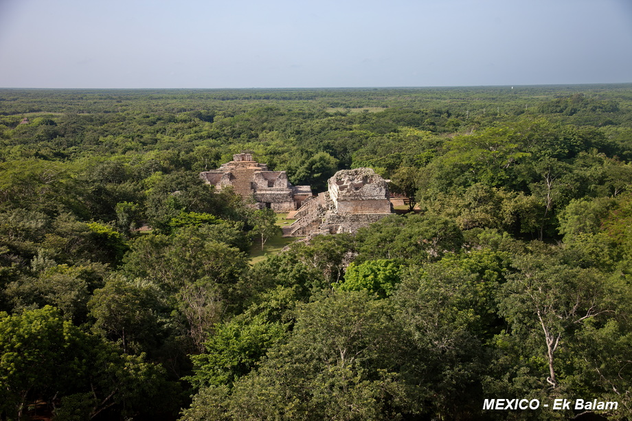 Maya Architecture