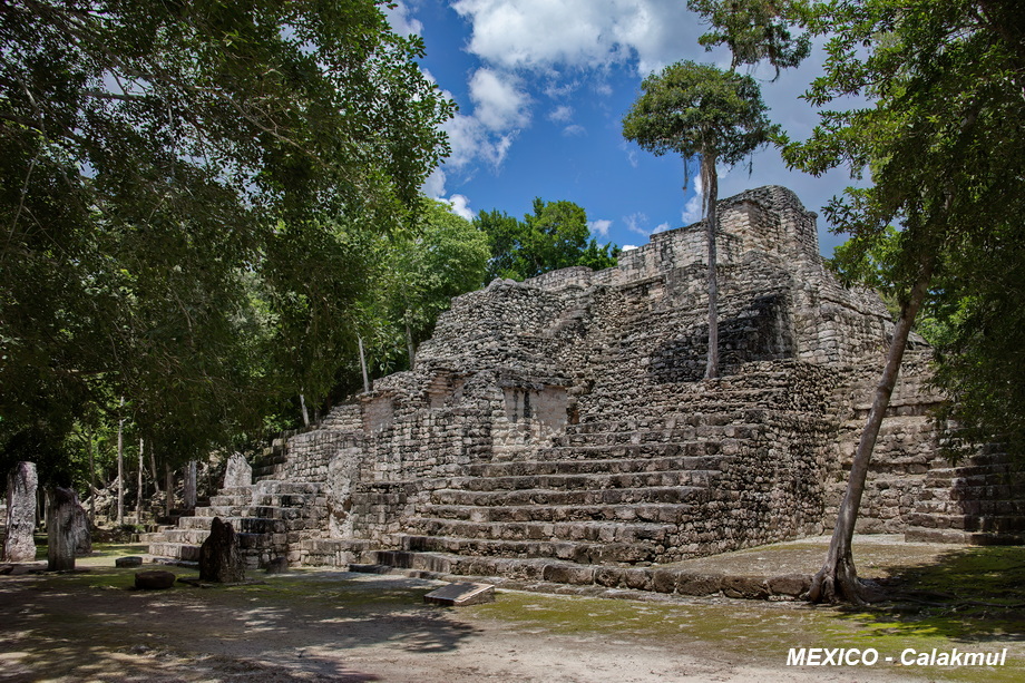 Maya Architecture