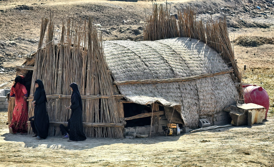 Mudhif Houses