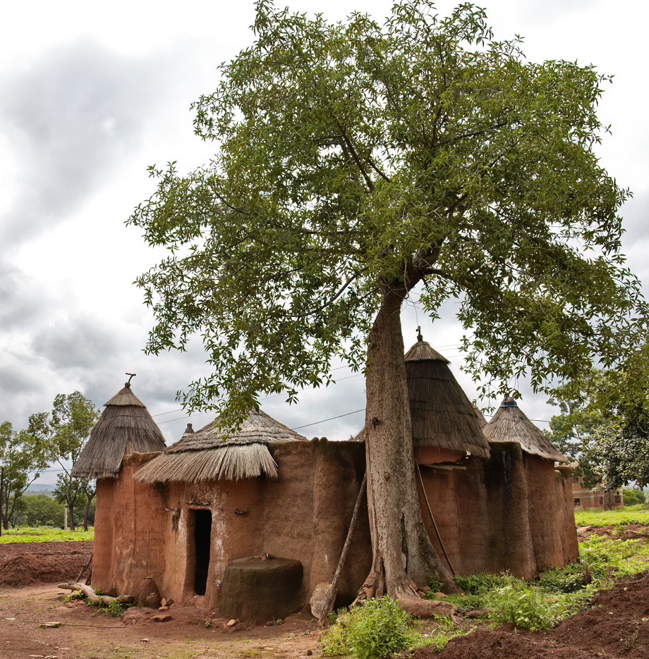 Tata Somba Architecture