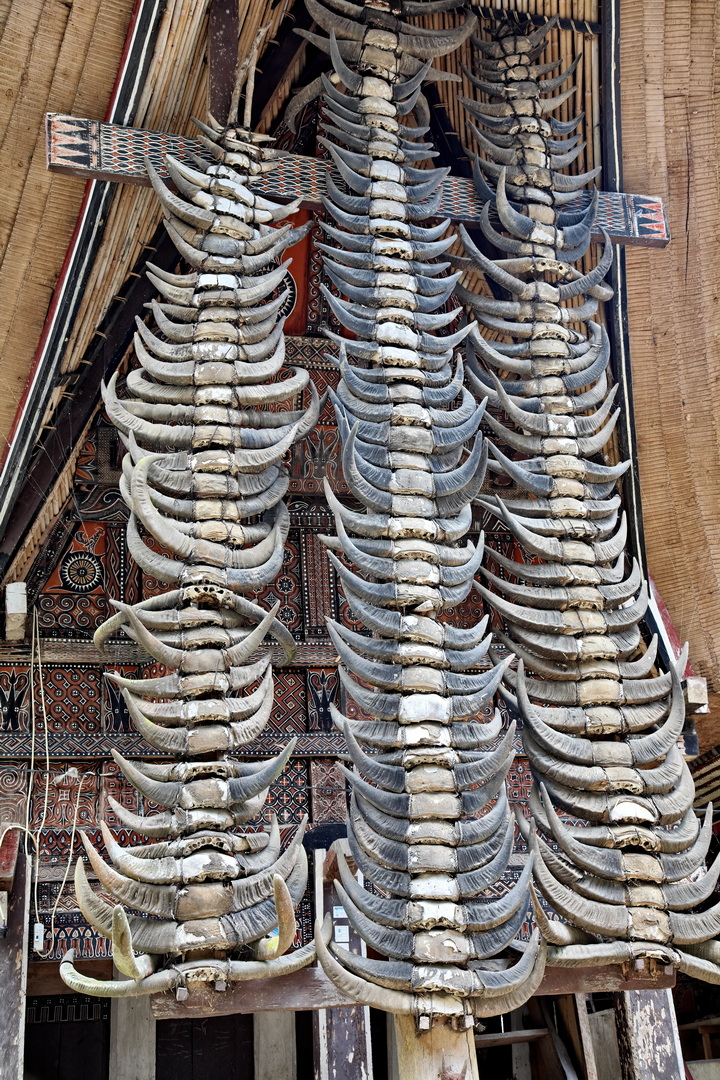 Toraja Architecture