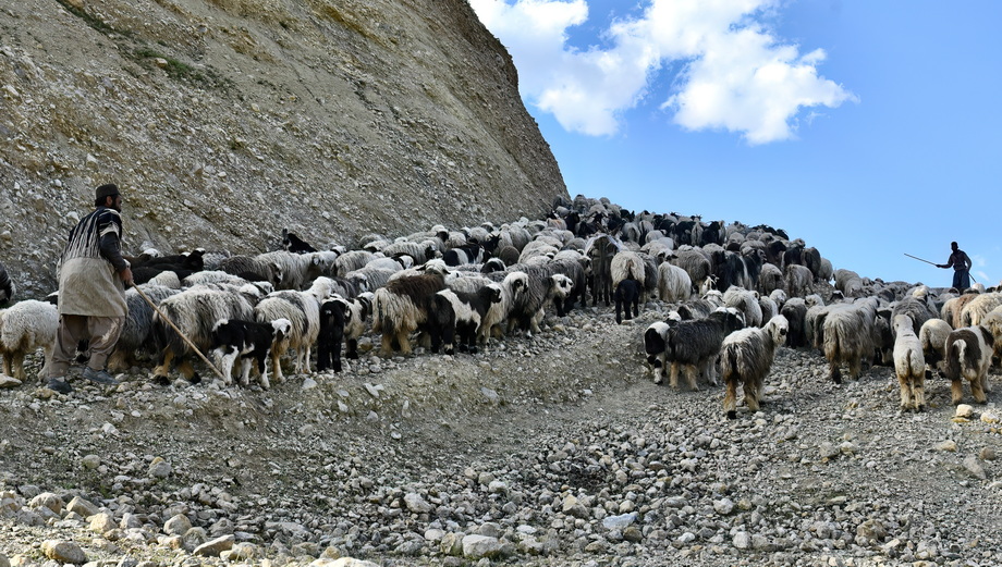 Bakhtiari People