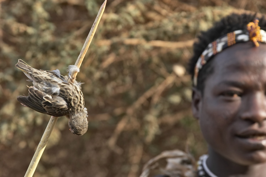 Hadzabei People