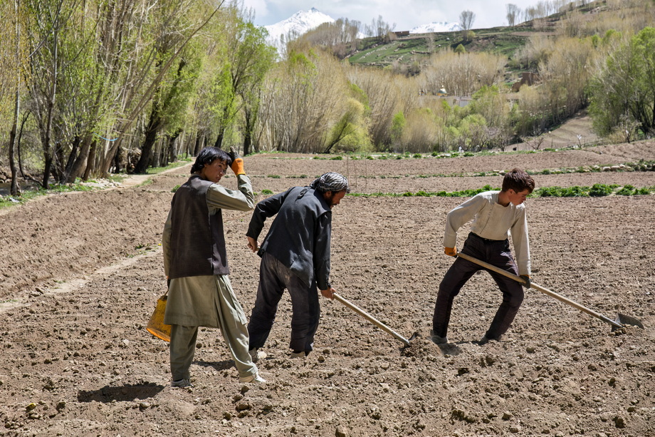 Hazara People