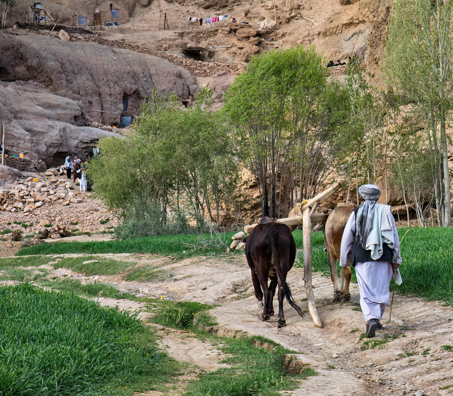Hazara People