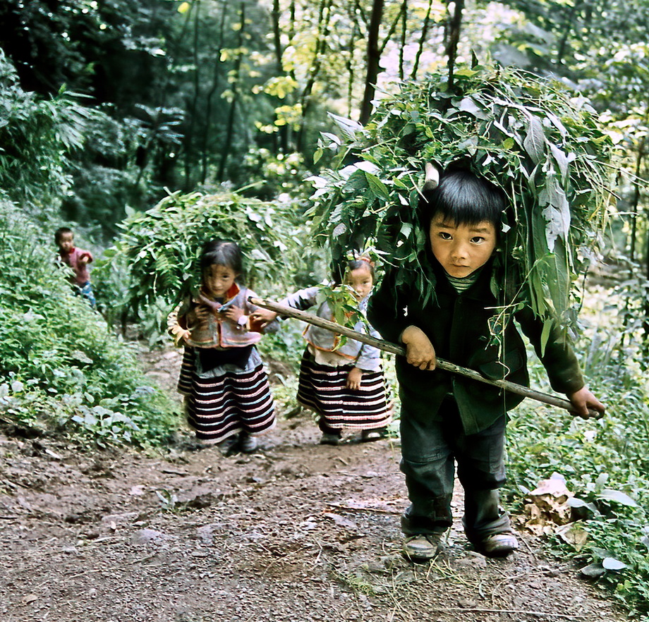 Longhorn Miao People
