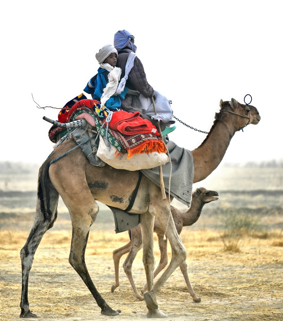 Nomadic Arabs Wedding