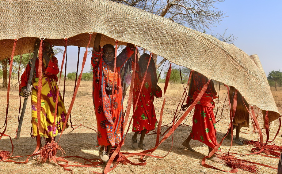 Nomadic Arabs Wedding