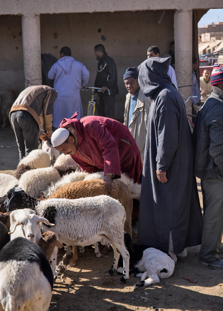 People and life in Morocco