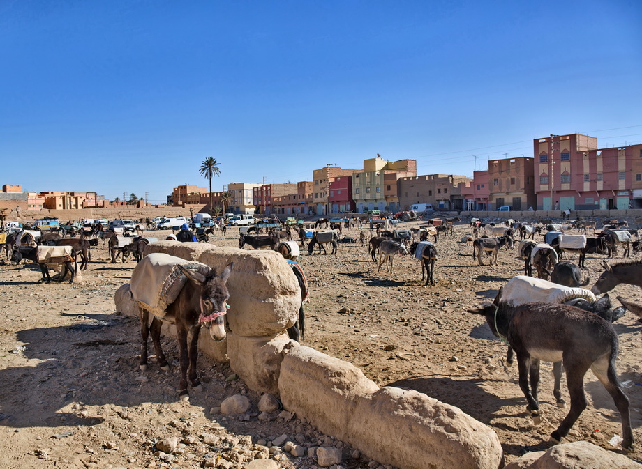 People and life in Morocco