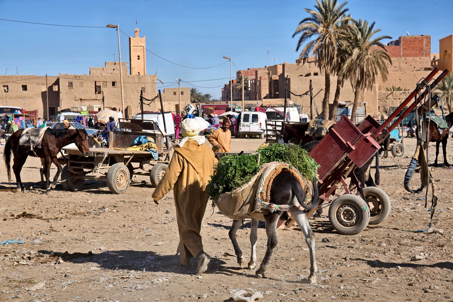 People and life in Morocco