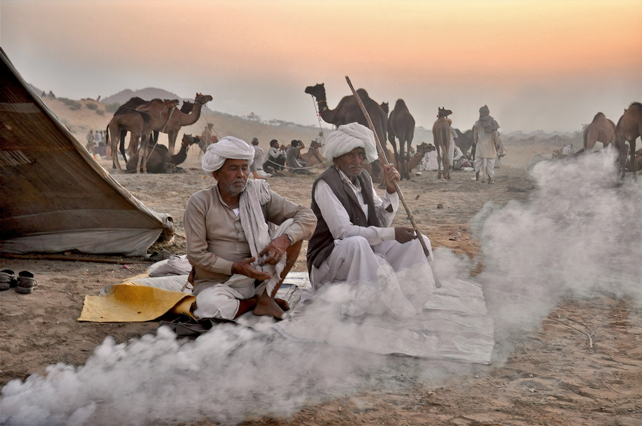 Pushkar Cattle Fair