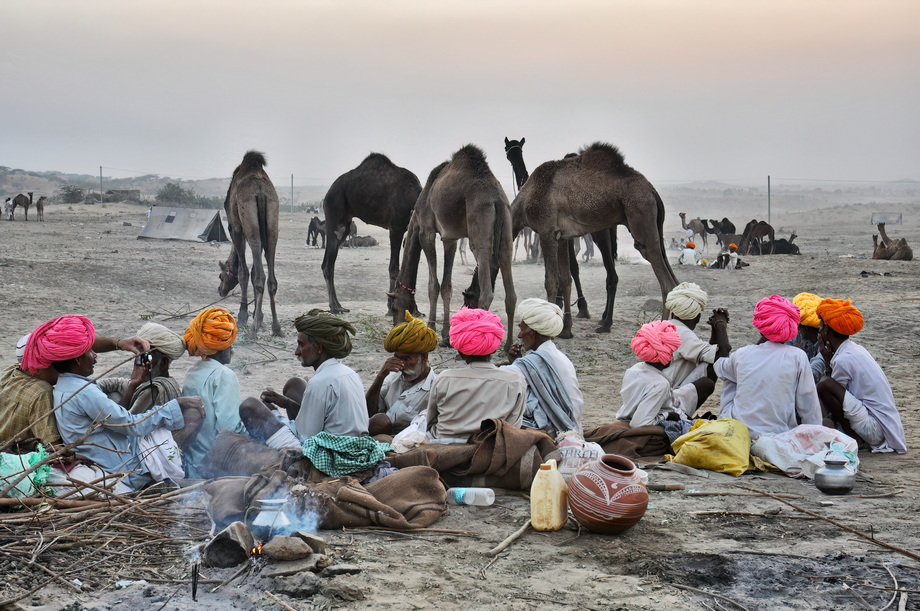 Pushkar Cattle Fair