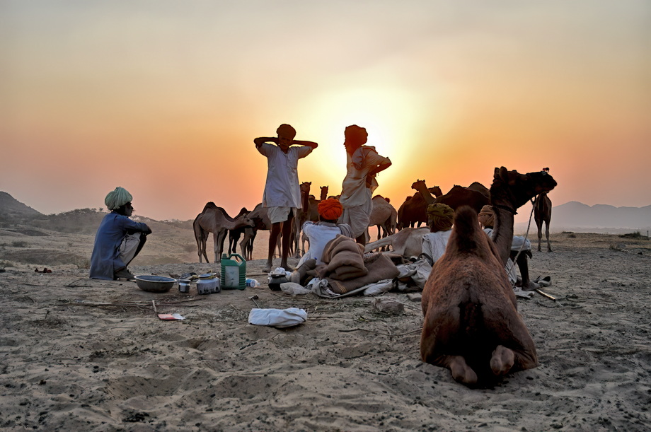 Pushkar Cattle Fair