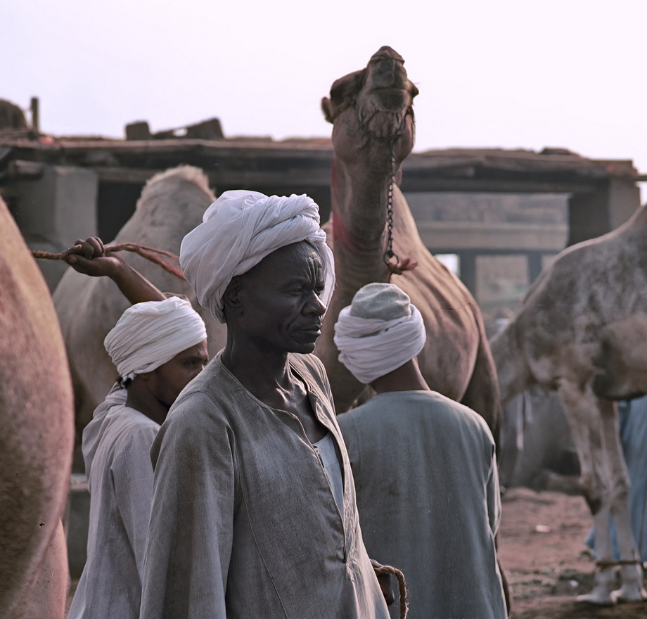 Birqash Camel Market