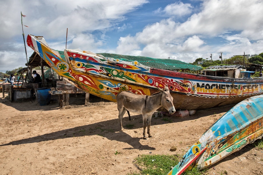 Fishers of Senegal and Mauritania