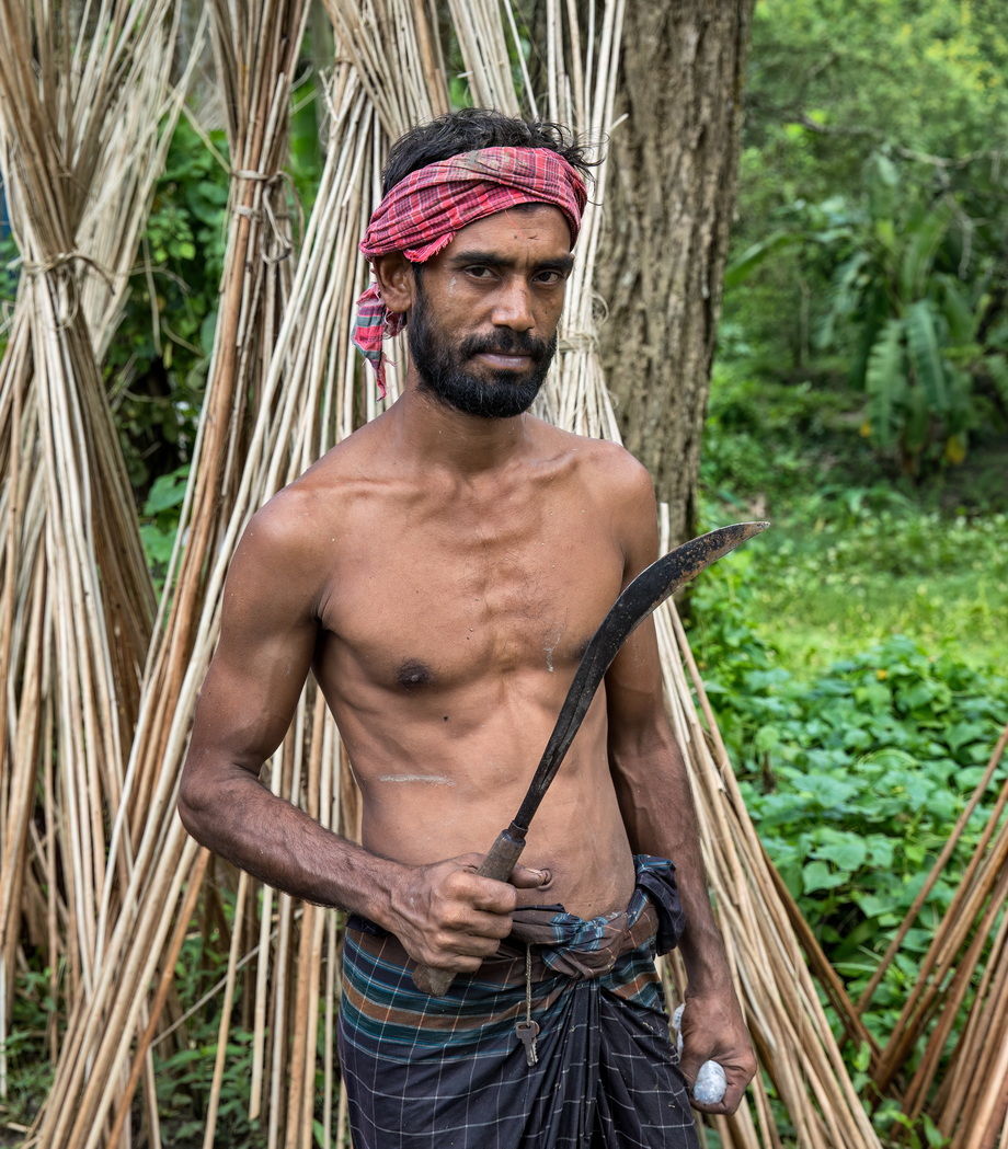 Jute harvesting and processing in Bangladesh