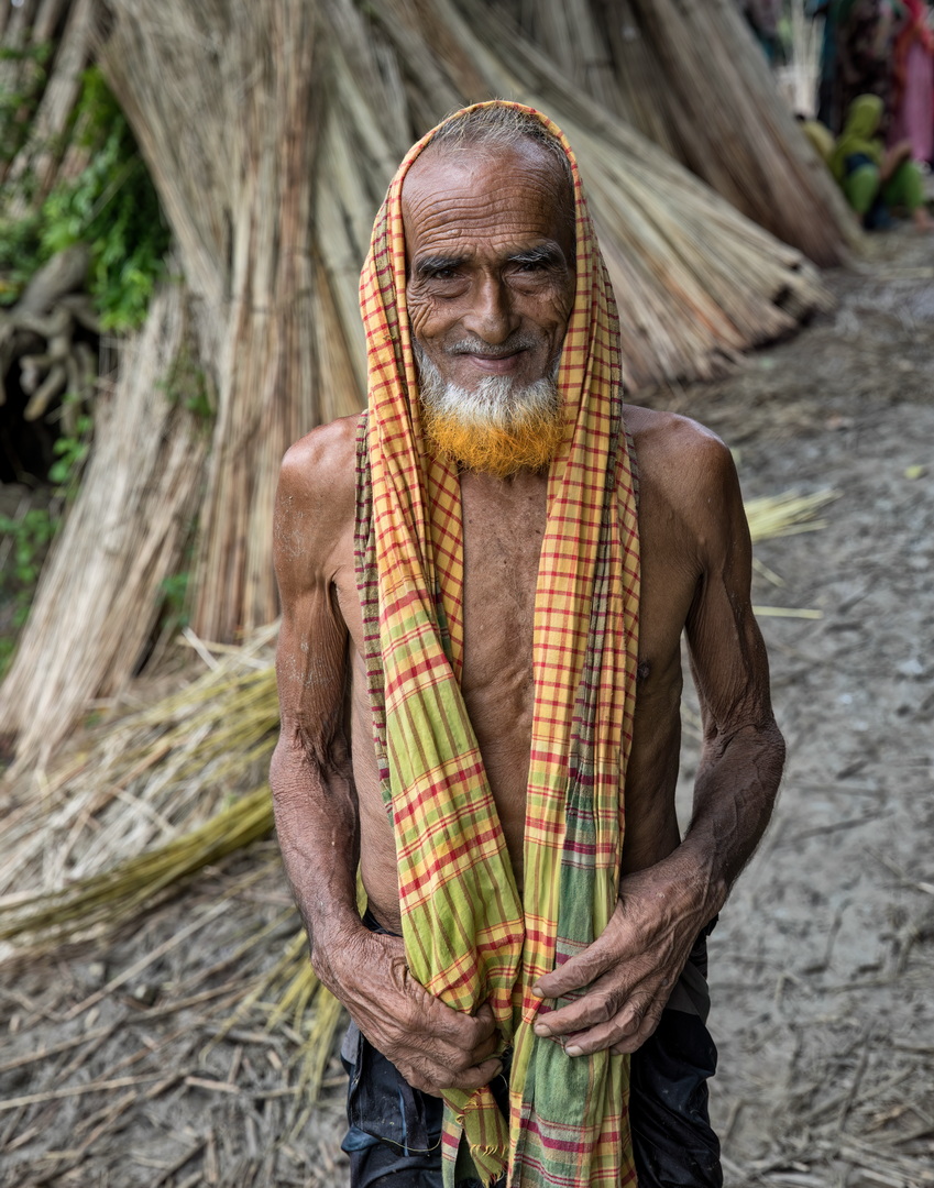 Jute harvesting and processing in Bangladesh