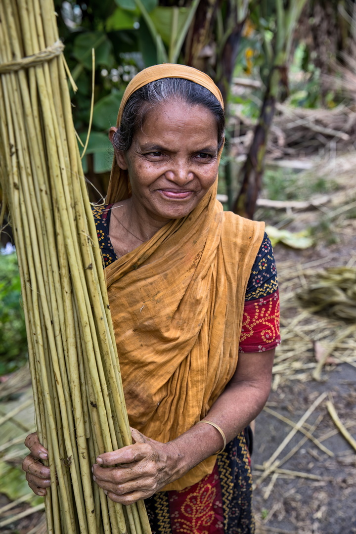 Jute harvesting and processing in Bangladesh