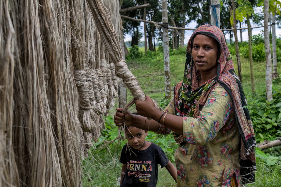 Jute harvesting and processing in Bangladesh