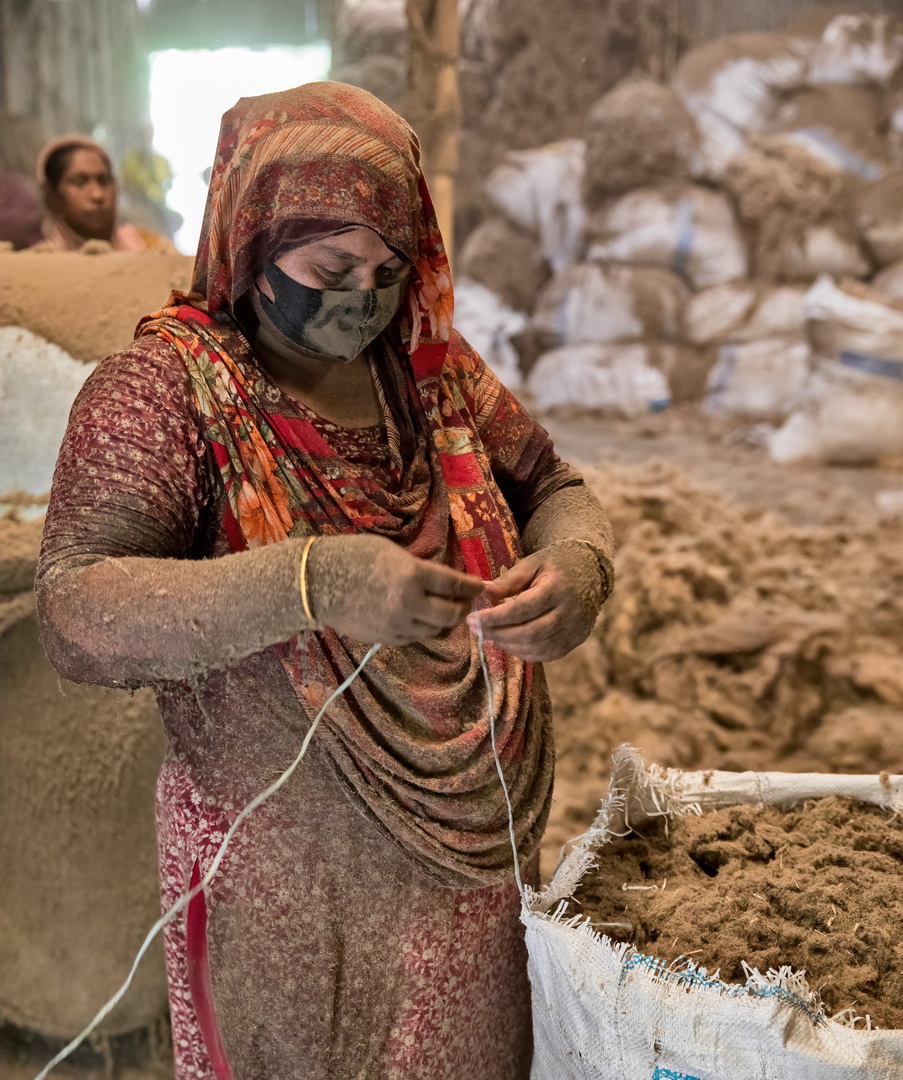 Jute harvesting and processing in Bangladesh