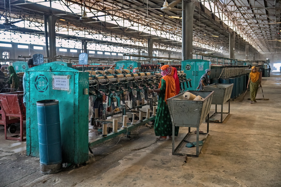 Jute harvesting and processing in Bangladesh