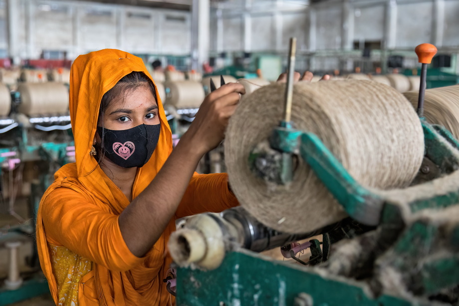 Jute harvesting and processing in Bangladesh