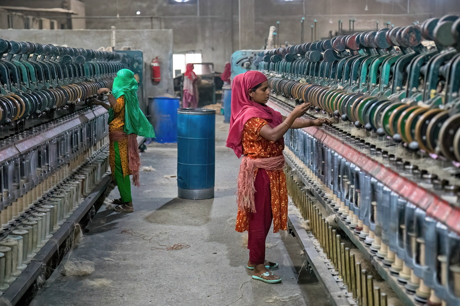 Jute harvesting and processing in Bangladesh