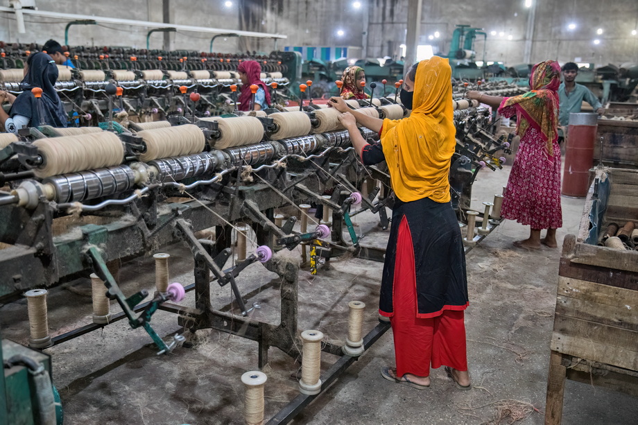Jute harvesting and processing in Bangladesh