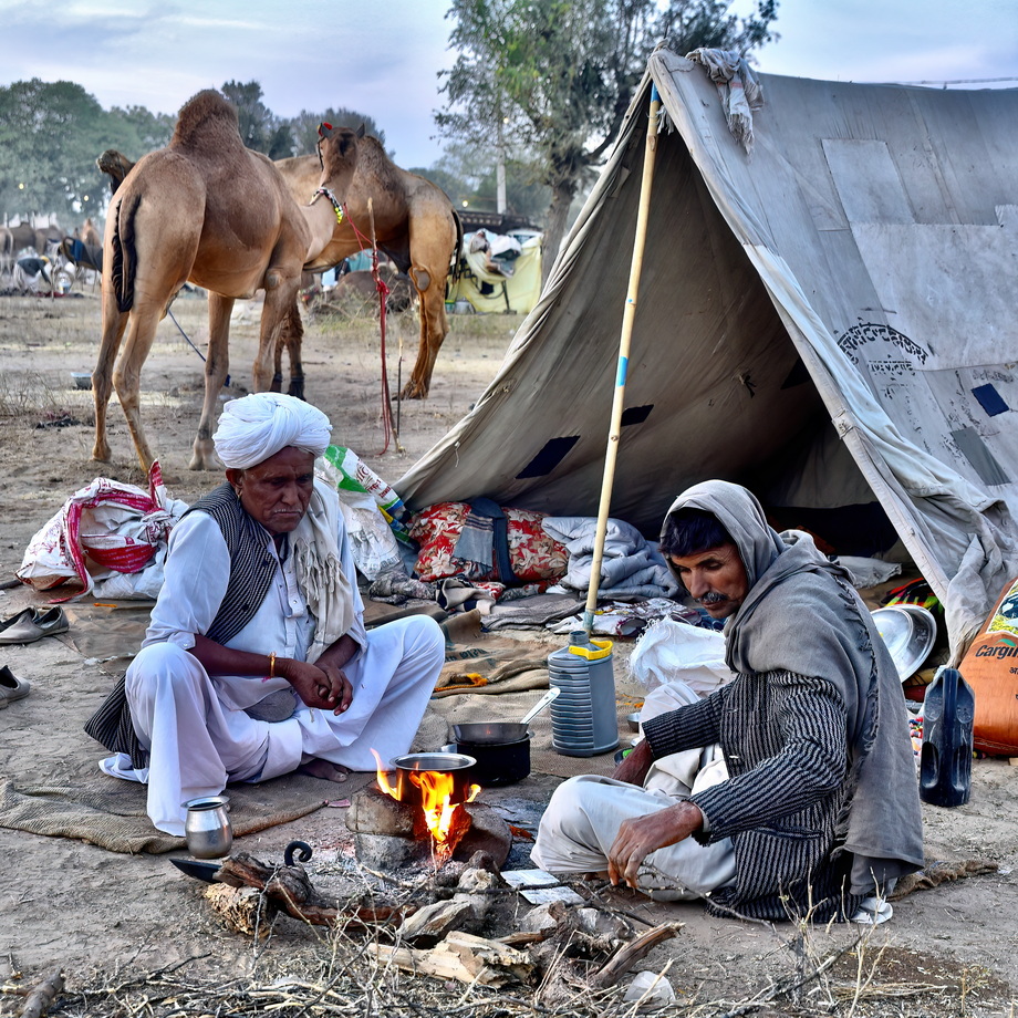 Nagaur Cattle Fair