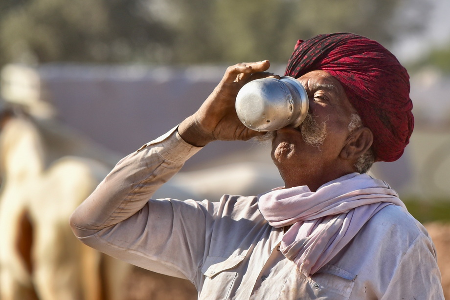 Nagaur Cattle Fair