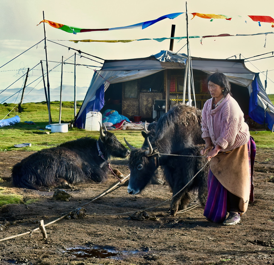 Tibetani People