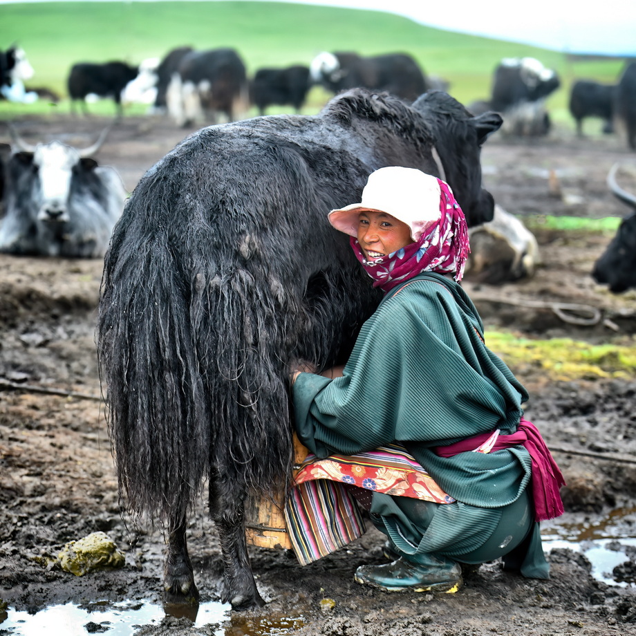 Tibetani People